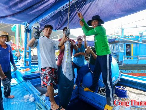 VIFTA mở thêm dư địa cho hàng Việt tại thị trường Israel