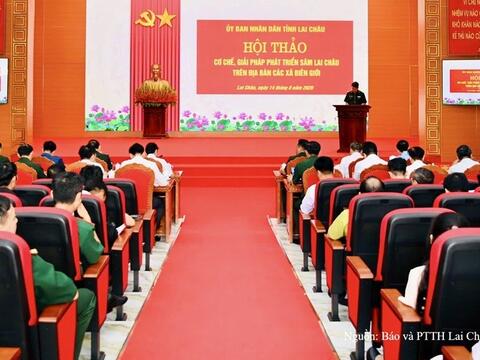 Lai Châu đặt mục tiêu phát triển 1.350 ha Sâm tại các xã biên giới