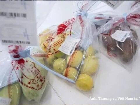 Thêm cơ quan được kiểm tra đối với sản phẩm nhập khẩu vào Thổ Nhĩ Kỳ