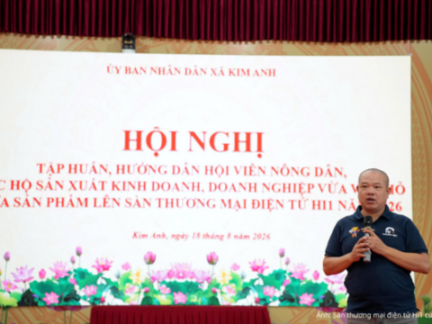 Nông dân, hộ kinh doanh bán hàng trên thương mại điện tử: Hiệu quả 'đo' bằng gì?