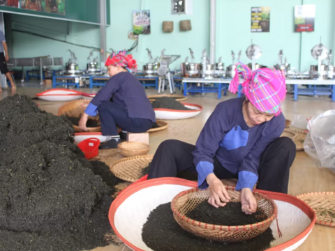 Gắn đào tạo nghề với nhu cầu sản xuất của người dân