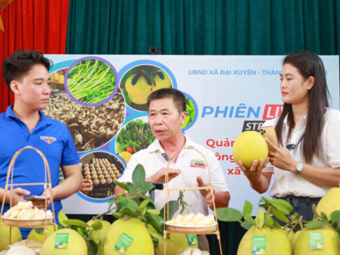 Xây dựng Nông thôn mới Hà Nội 2026-2030: Phân nhóm xã, tạo tiền đề xây dựng mô hình nông thôn mới hiện đại