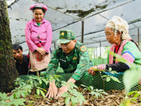 Học nghề dưới tán rừng mở hướng sinh kế cho hộ nghèo vùng biên