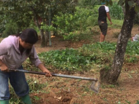 Thay đổi tư duy phát triển kinh tế nhờ các lớp học nghề cho người dân nghèo