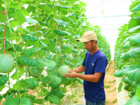 Đào tạo nghề chất lượng cao mở lối giảm nghèo bền vững ở Hà Tĩnh