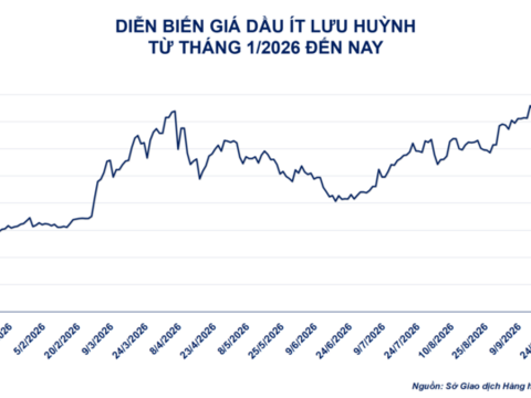 Giá đậu tương kỳ hạn tháng 11 tăng 1,1%, lên 474,7 USD/tấn