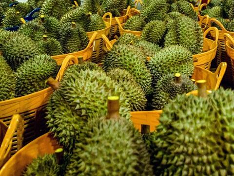 Giá nông sản hôm nay 10/4: Giá sắn tươi tăng mạnh; giá ớt giảm kỷ lục