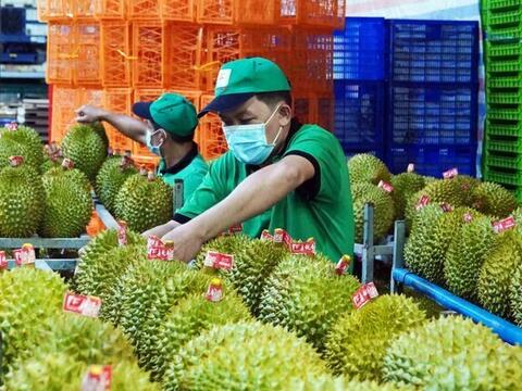 Doanh nghiệp xuất khẩu sầu riêng thích ứng với kỷ nguyên số