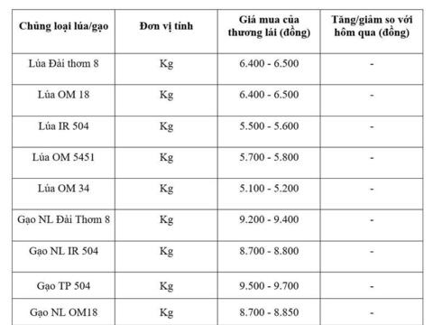 Giá lúa gạo hôm nay ngày 10/6/2026: Gạo xuất khẩu biến động