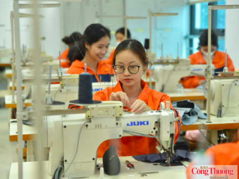 Nâng cao năng lực tuân thủ: 'Chìa khóa' để doanh nghiệp nhỏ và vừa tận dụng CPTPP