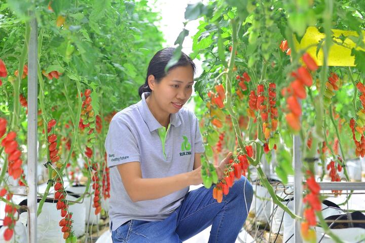 Để đạt mục tiêu tăng trưởng ngành nông nghiệp