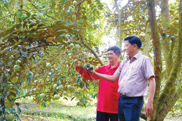 Phát triển nông nghiệp, nông thôn toàn diện, bền vững