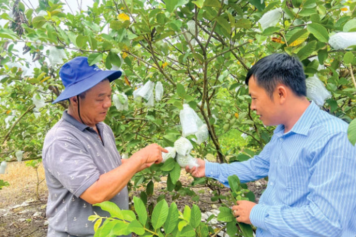 Cần Thơ có 29 hợp tác xã nông nghiệp thành lập mới