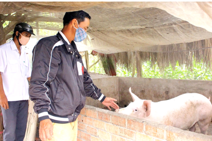 Cần Thơ đẩy mạnh phát triển chăn nuôi gia súc, gia cầm