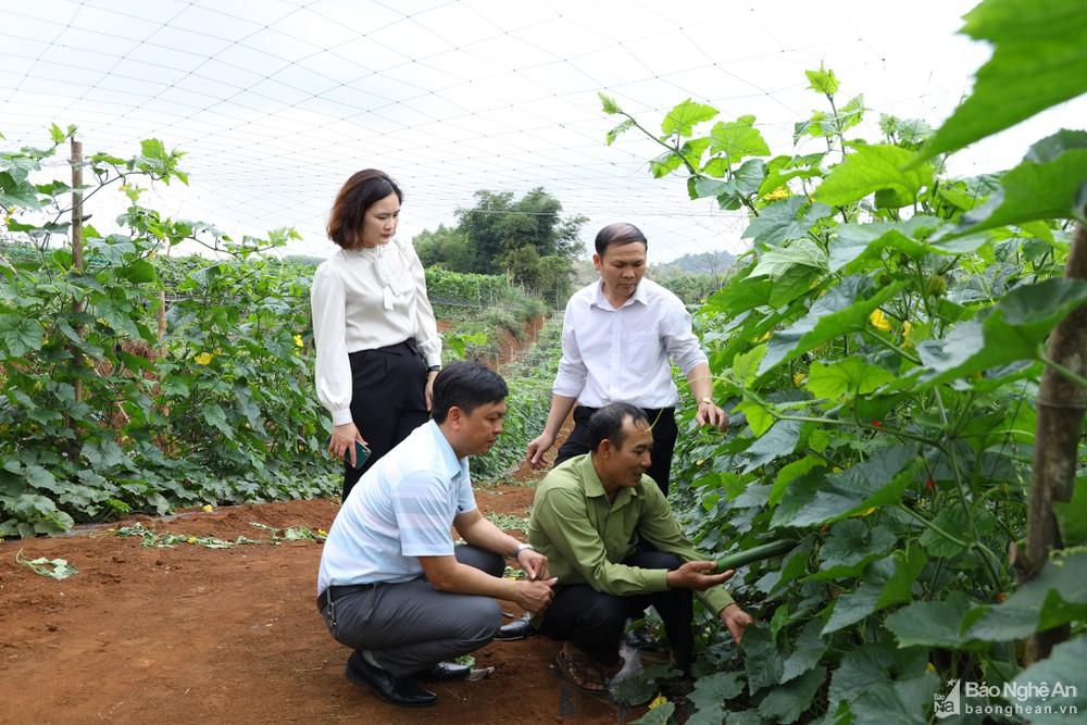 Cả hệ thống chính trị Nghĩa Đàn vào cuộc xây dựng nông thôn mới