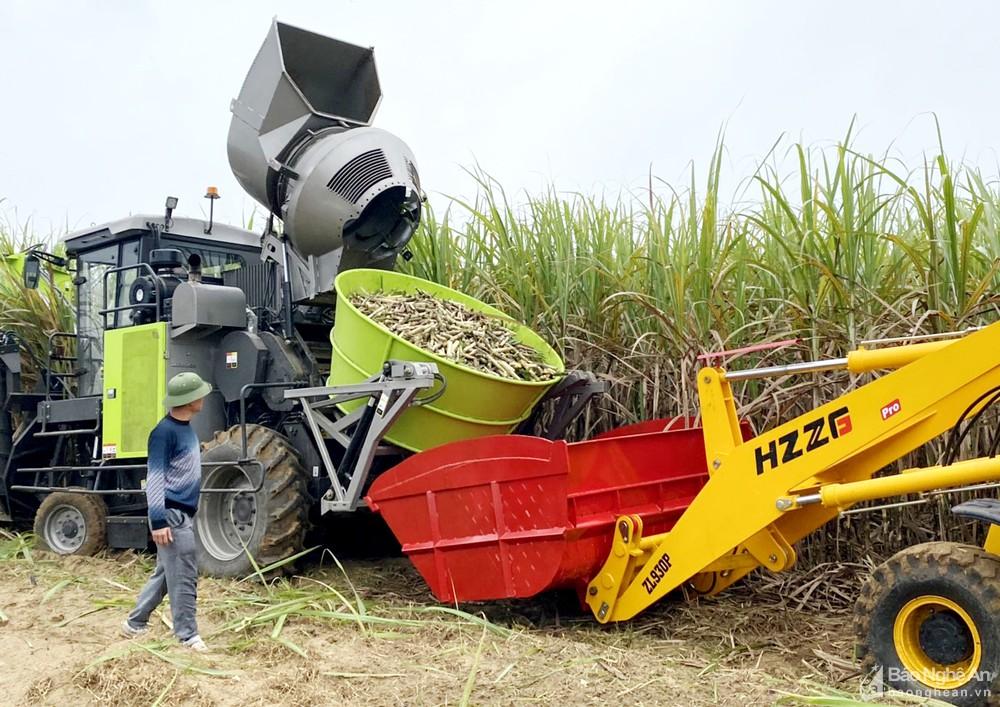 Cả hệ thống chính trị Nghĩa Đàn vào cuộc xây dựng nông thôn mới