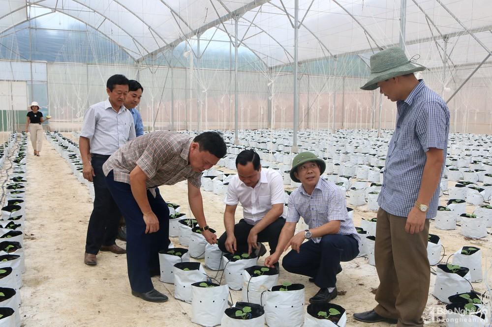 Đổi mới phương thức lãnh đạo, quyết tâm đưa Tân Kỳ phát triển toàn diện