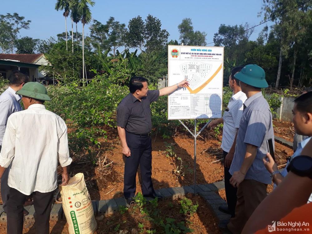 Đô Lương hướng tới mục tiêu huyện nông thôn mới
