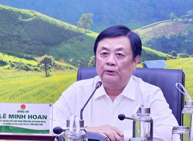 Nhan dien thuc trang lien ket tieu thu, xuat khau sau rieng hinh anh 1