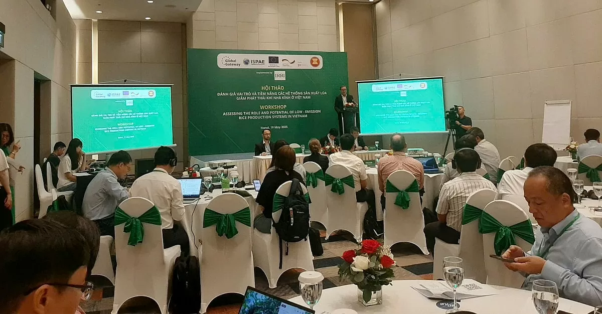 Hội thảo quốc tế Rộng đường xuất khẩu cho gạo giảm phát thải