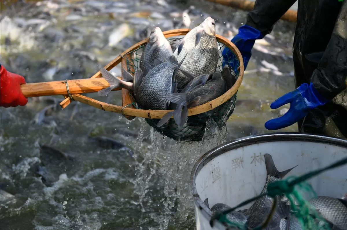 UKVFTA - Vương quốc Anh UKVFTA - Vương quốc Anh