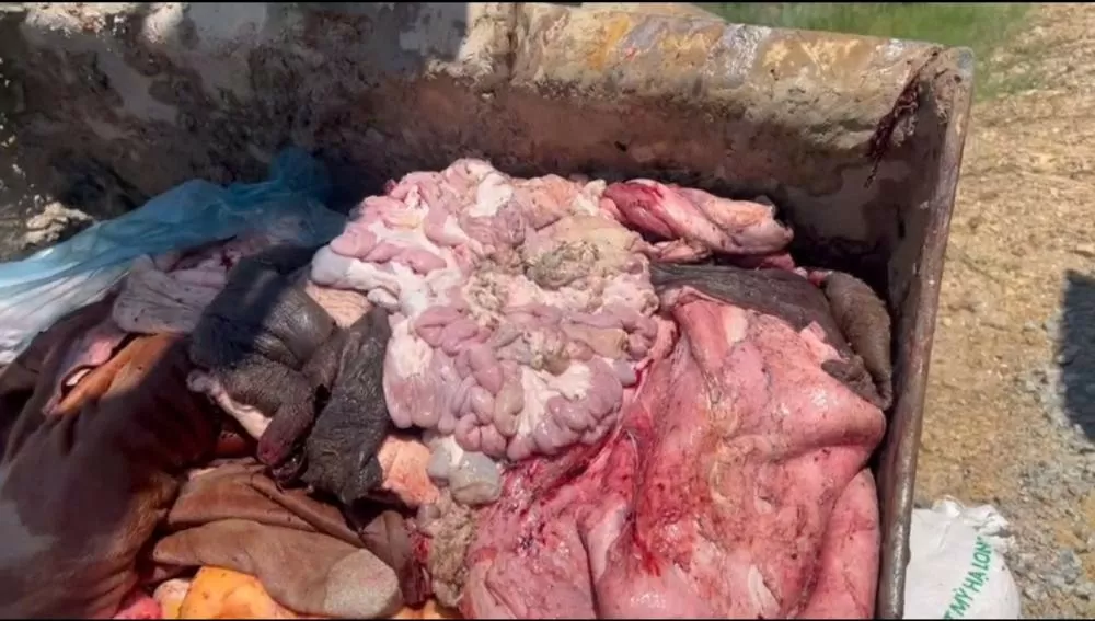 thực phẩm bẩn hà tĩnh