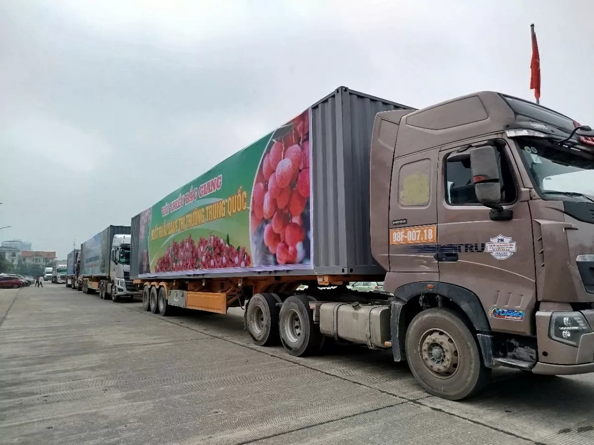 Bắc Giang: Xúc tiến tiêu thụ vải thiều và sản phẩm OCOP