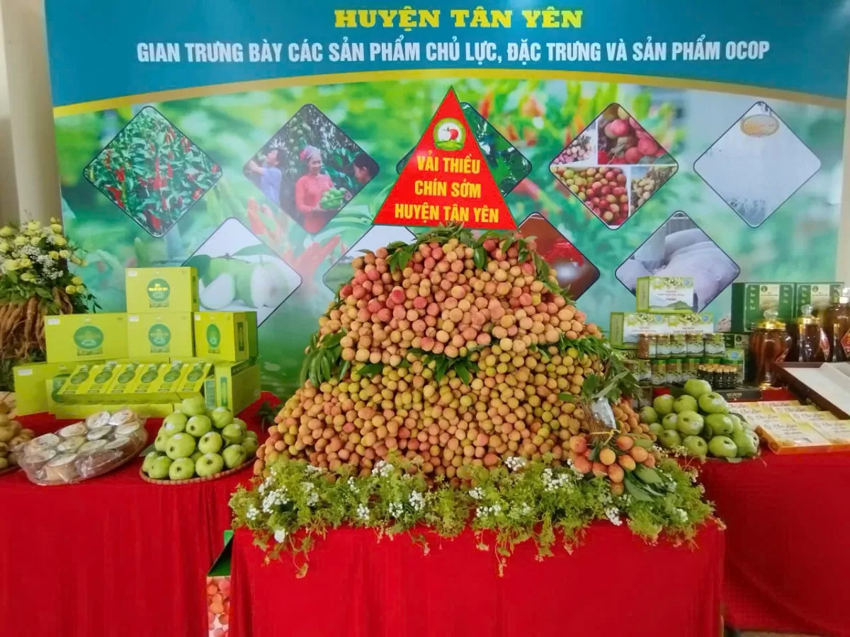 Bắc Giang: Xúc tiến tiêu thụ vải thiều và sản phẩm OCOP