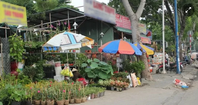 lừa đảo sinh vật cảnh không gian mạng