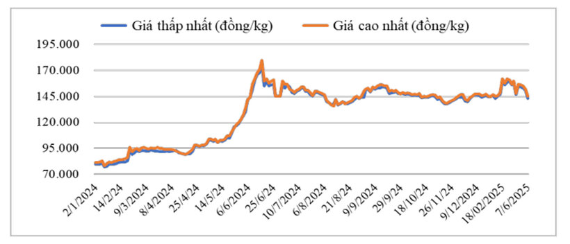 Diễn biến giá hạt tiêu đen tại thị trường nội địa năm 2024 - 2025. Nguồn: Hiệp hội Hạt tiêu Việt Nam