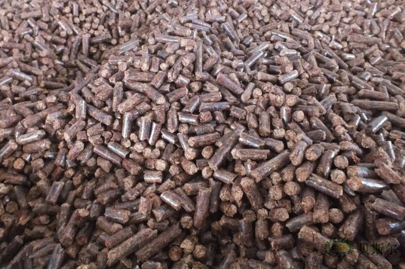 Nửa đầu năm 2025, xuất khẩu viên nén gỗ tăng trưởng 2 con số cả lượng và giá trị