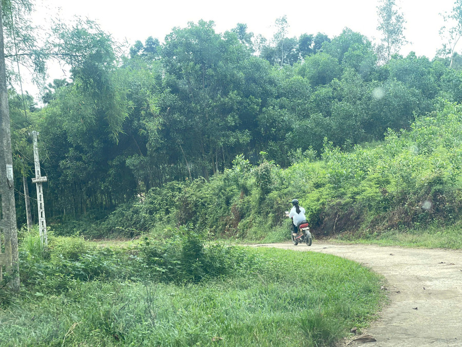 Con đường từ nhà đến trường suốt 3 năm THPT của Nhung. z6867503110827-e2193cd0f9683b9d55a96a8ac907cc1d.jpg