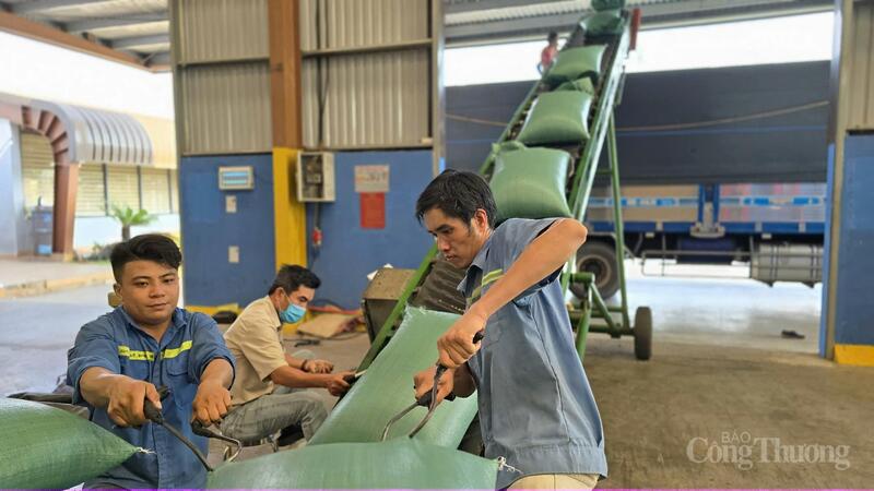 Gia Lai có tiềm năng dồi dào về nông sản đạt tiêu chuẩn phục vụ cho thị trường xuất khẩu. Ảnh: Hiền Mai