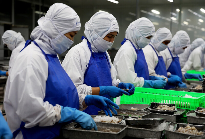 Hệ thống cảnh báo sớm góp phần duy trì ổn dịnh xuất khẩu hàng hóa trước xu thế gia tăng điều tra phòng vệ thương mại của thị trường. Ảnh: TTXVN