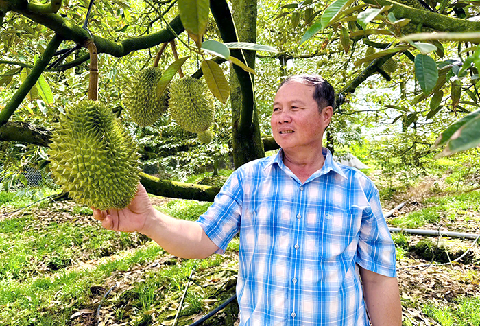 Nông dân thành phố thi đua sản xuất, kinh doanh giỏi
