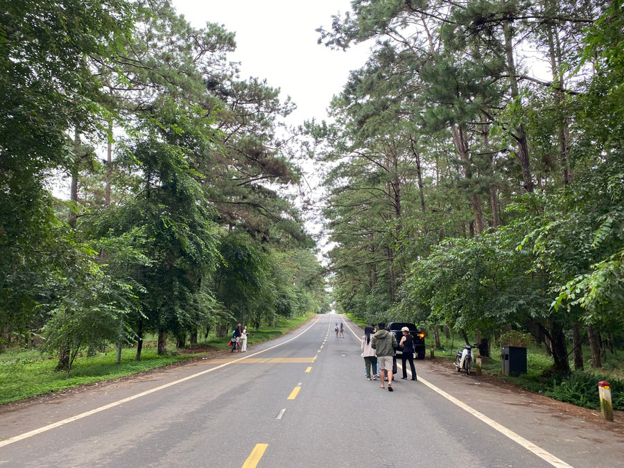 Măng Đen là địa điểm hút khách du lịch.