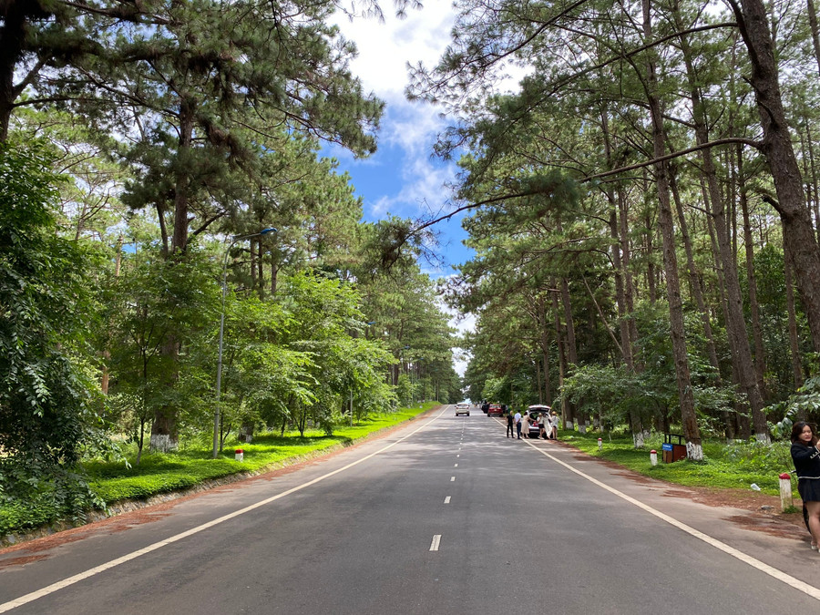 Măng Đen, nơi được ví như “Đà Lạt thứ hai của miền Trung”. 91c6482b6f37e269bb26.jpg