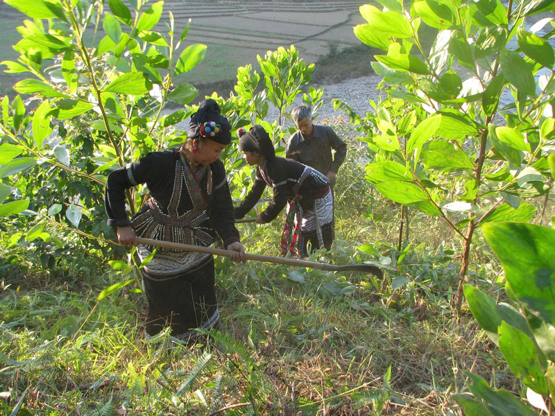 Người dân đi tuần tra rừng