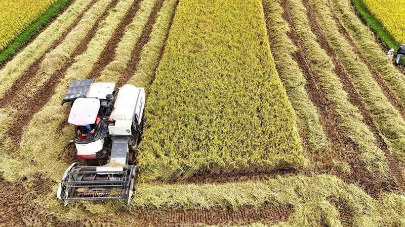 Việc đẩy mạnh ứng dụng công nghệ giúp giảm được sức người trong lao động