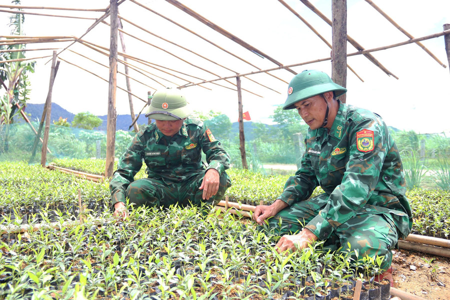 Cán bộ Đồn Biên phòng Bản Giàng làm vườn ươm hàng nghìn cây trầm hương hỗ trợ bà con dân tộc Chứt. bp.jpg