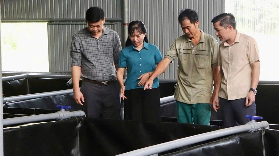 Lãnh đạo xã Vũ Quang tham quan mô hình nuôi lươn không bùn trên địa bàn. (Ảnh: Anh Thơ)