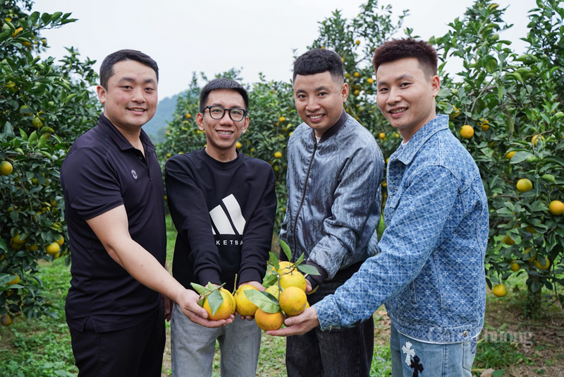 Các KOLs, người có sức ảnh hưởng cùng tham gia quảng bá sản phẩm cam Hà Tĩnh lên không gian số. Ảnh: FB 3 ông bố đảm