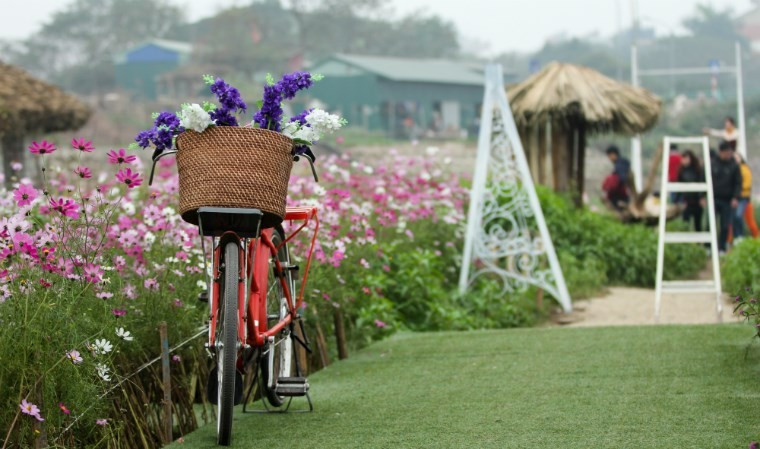 Sư Tử nên thư giãn và nghỉ ngơi, Song Ngư hạnh phúc bên người thân ngày 9/1