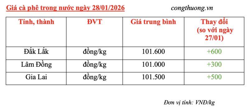 Giá cà phê hôm nay 28/1/2026: Tăng nhẹ 300 - 600 đồng/kg - 4