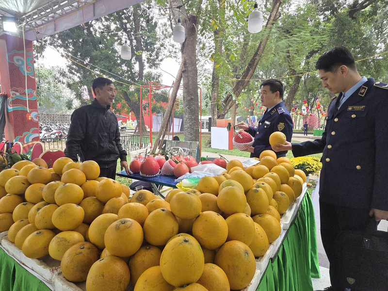 Cán bộ Đội Quản lý thị trường số 5 đi thực tế Không gian Tết Việt 2026 tại Công viên Thống Nhất.