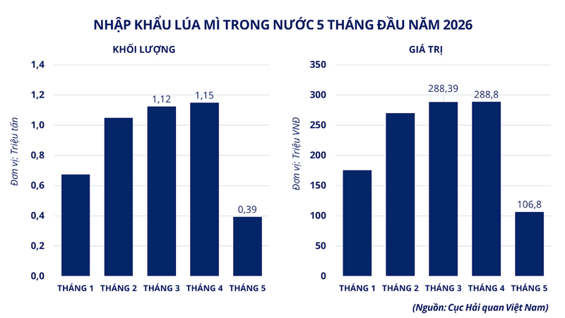 Nhập khẩu lúa mì trong nước 5 tháng đầu năm 2026. Nguồn: MXV