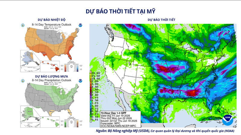 Dự báo thời tiết tại Mỹ. Nguồn: MXV