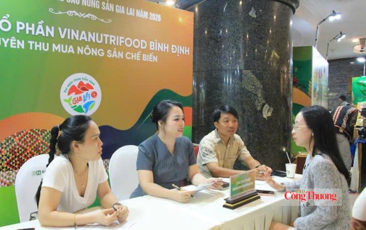 Các hộ kinh doanh, HTX tìm cơ hội hợp tác với Công ty CP Vinanutri Food Bình Định tại Hội nghị kết nối cung cầu nông sản Gia Lai năm 2026. Ảnh: Hiền Mai