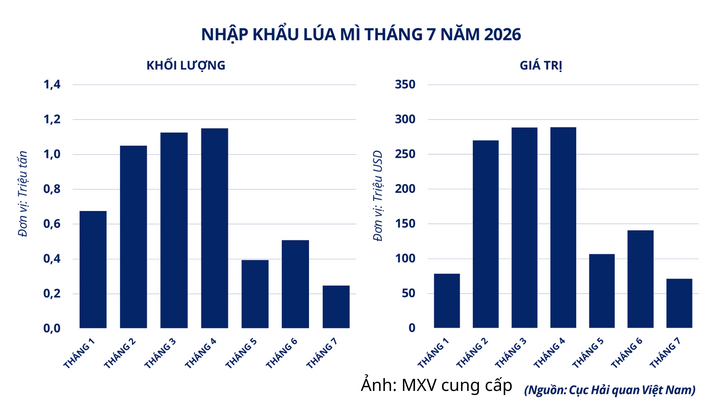 Nhập khẩu lúa mì của Việt Nam tháng 7/2026