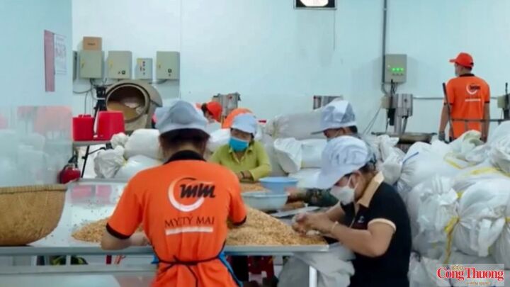 Công ty TNHH MTV My Tỷ Mai nỗ lực phát triển sản xuất, tạo việc làm, đóng góp vào mục tiêu tăng trưởng kinh tế hai con số của tỉnh Vĩnh Long.